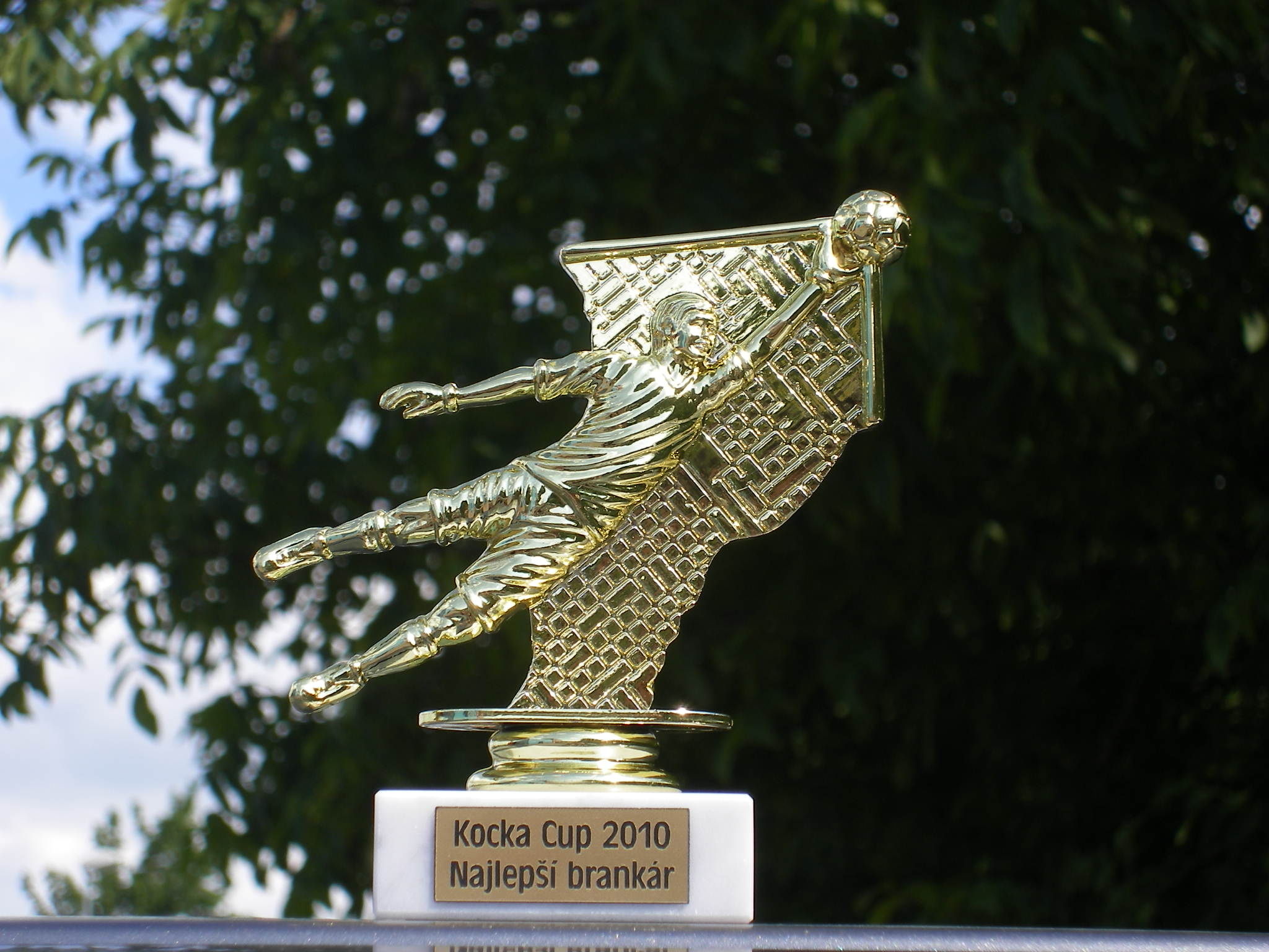 IMGP6252.JPG